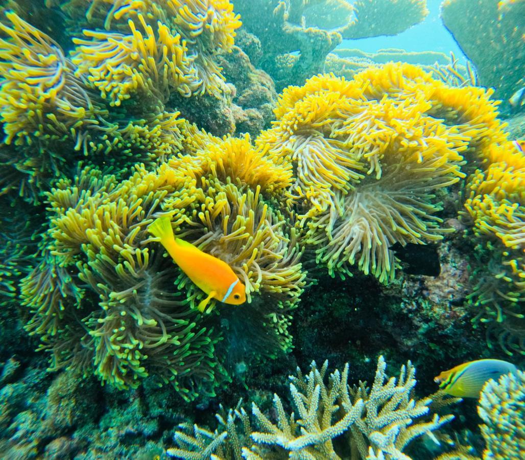 Fulidhoo Ihaa Lodge エクステリア 写真