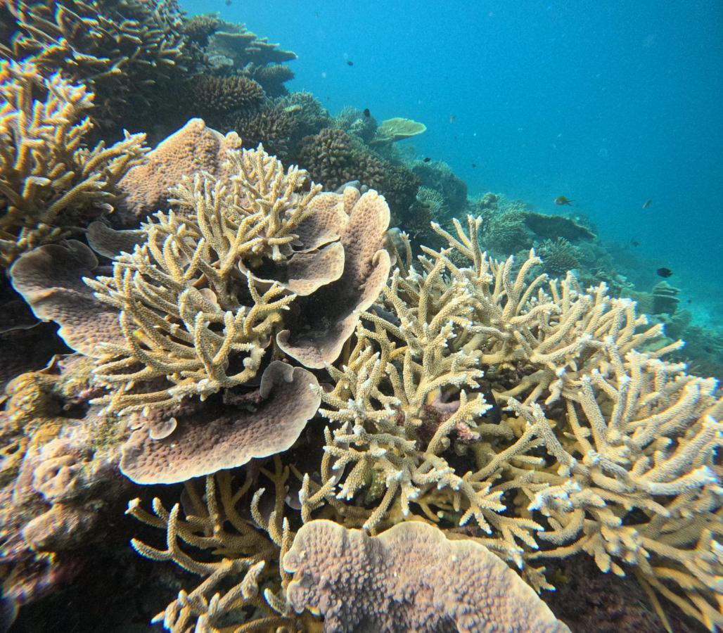 Fulidhoo Ihaa Lodge エクステリア 写真