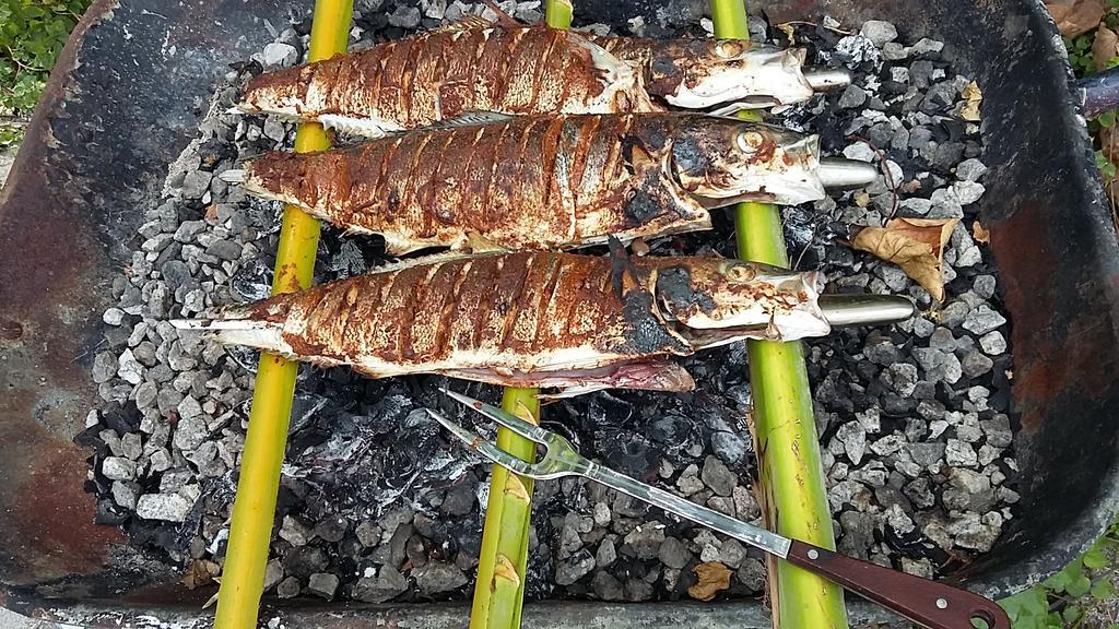 Fulidhoo Ihaa Lodge エクステリア 写真