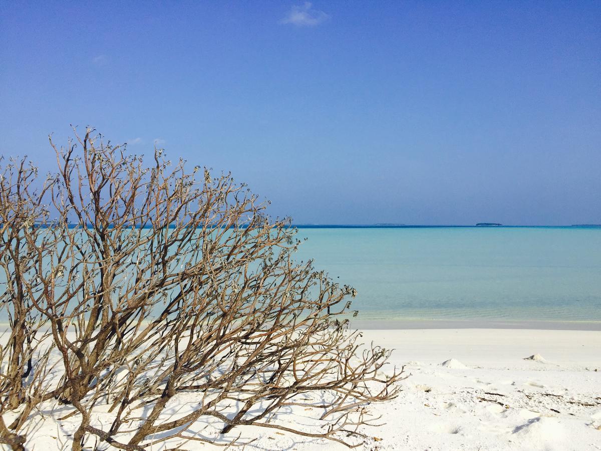 Fulidhoo Ihaa Lodge エクステリア 写真
